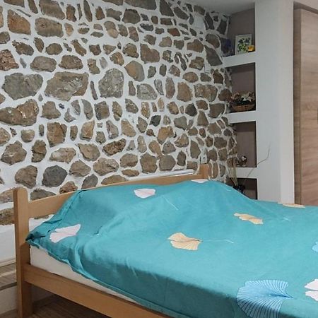 Guest House Stevovski Elshani 外观 照片