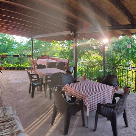 Guest House Stevovski Elshani 外观 照片