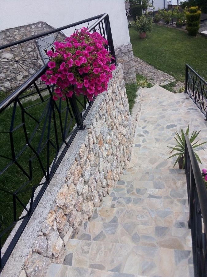 Guest House Stevovski Elshani 外观 照片