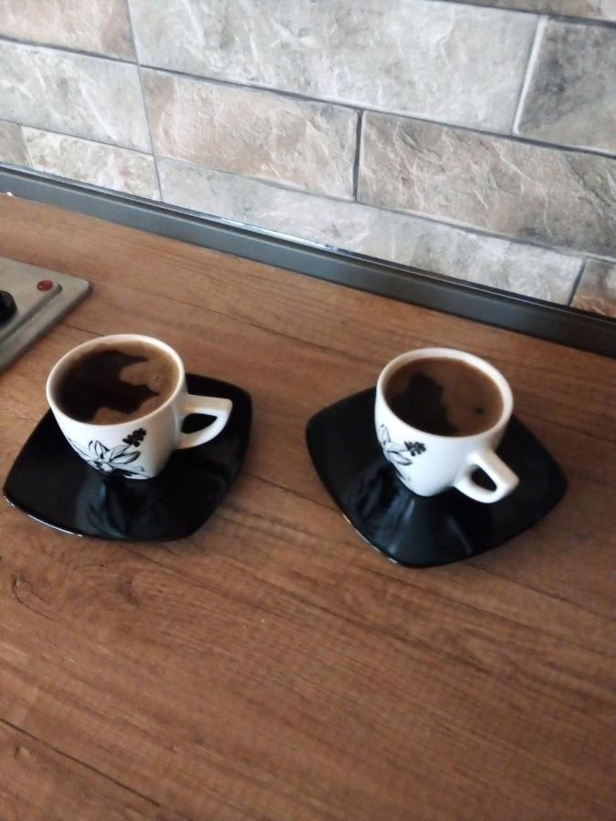 Guest House Stevovski Elshani 外观 照片