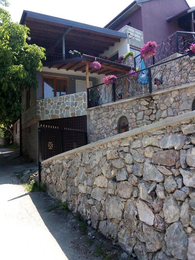 Guest House Stevovski Elshani 外观 照片