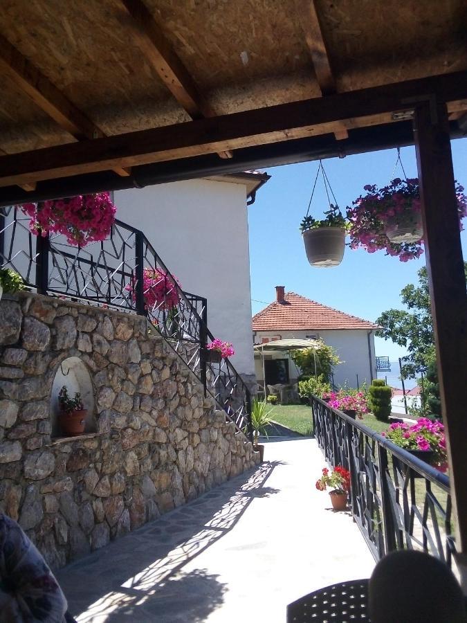 Guest House Stevovski Elshani 外观 照片