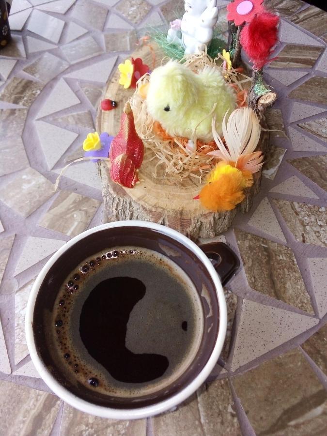 Guest House Stevovski Elshani 外观 照片