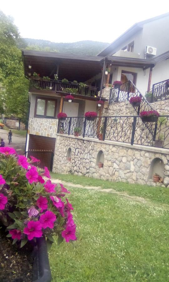 Guest House Stevovski Elshani 外观 照片