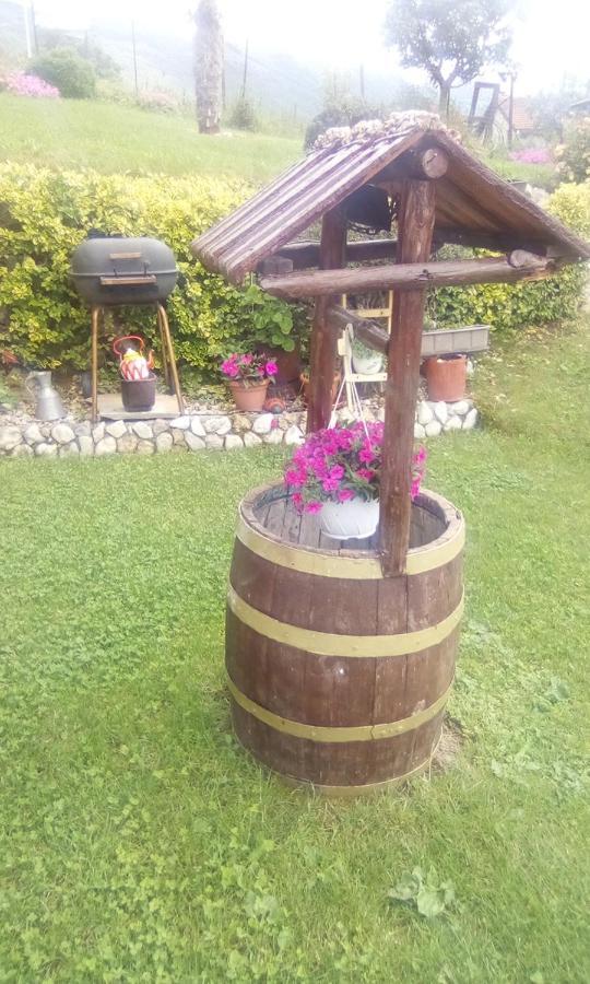 Guest House Stevovski Elshani 外观 照片