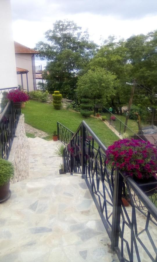 Guest House Stevovski Elshani 外观 照片