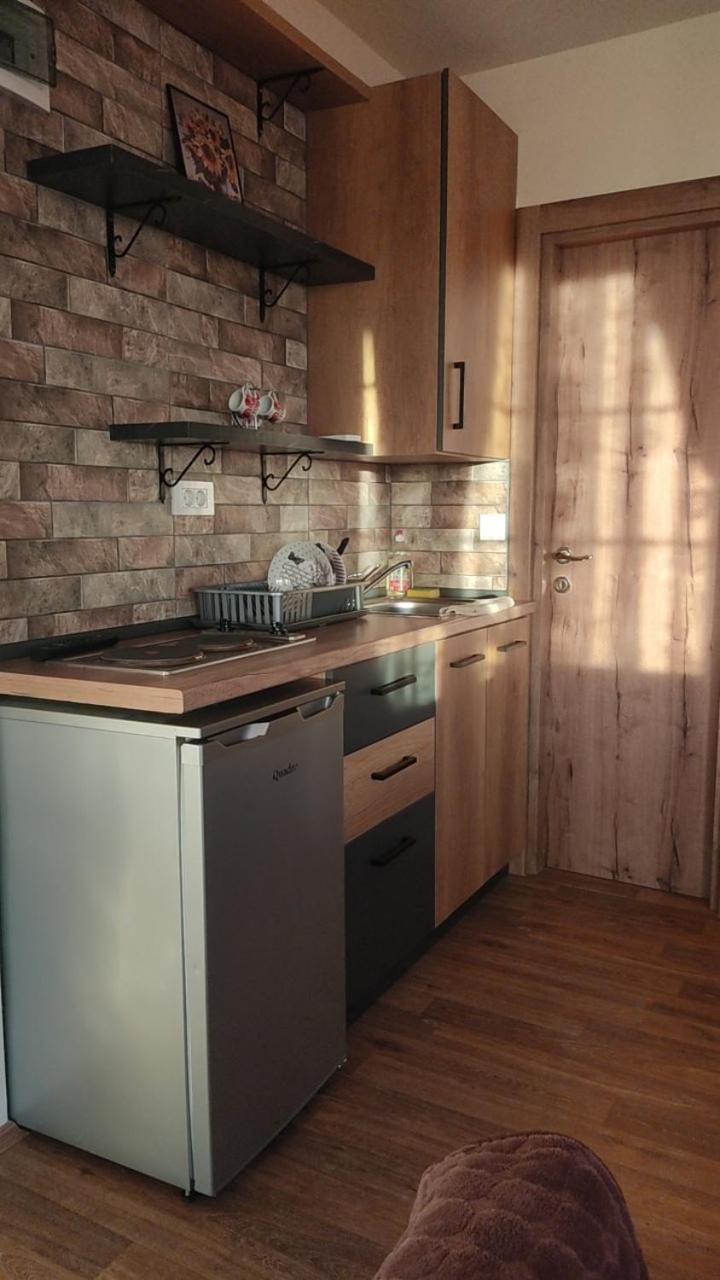 Guest House Stevovski Elshani 外观 照片