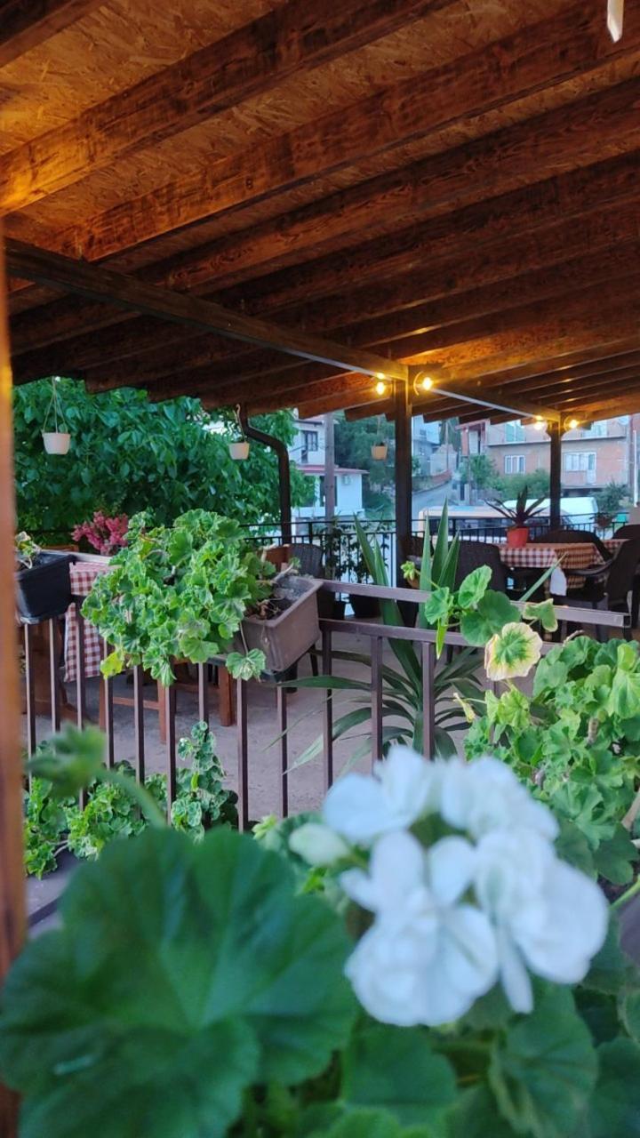 Guest House Stevovski Elshani 外观 照片