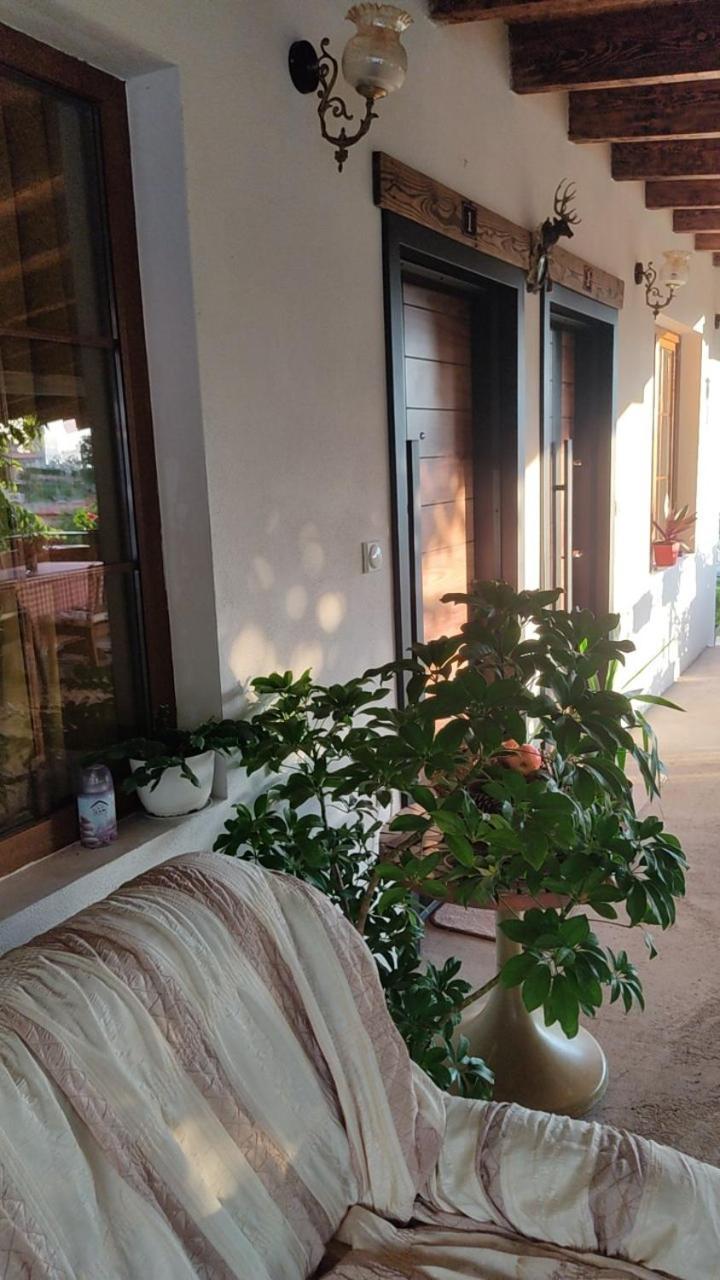 Guest House Stevovski Elshani 外观 照片