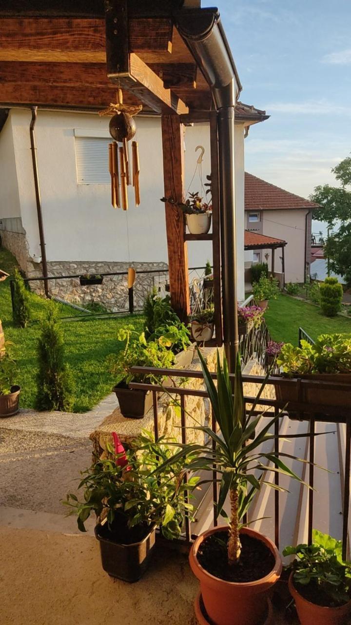 Guest House Stevovski Elshani 外观 照片
