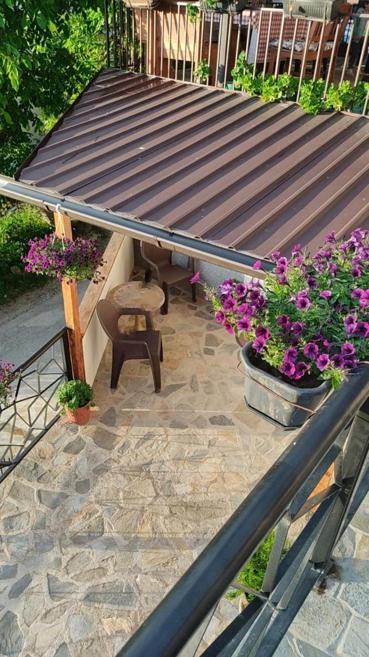 Guest House Stevovski Elshani 外观 照片